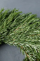 Fresh Rosemary Wreath