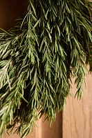 Fresh Rosemary Wreath