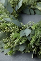 Fresh Seeded Eucalyptus + Woolybush Wreath