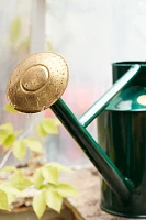 Haws Traditional Watering Can