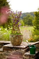 Haws Long Reach Watering Can