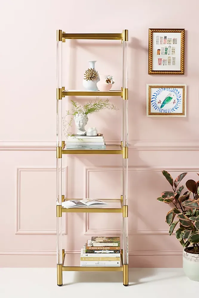 Oscarine Lucite Narrow Mirrored Bookshelf