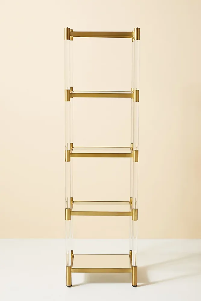 Oscarine Lucite Narrow Mirrored Bookshelf