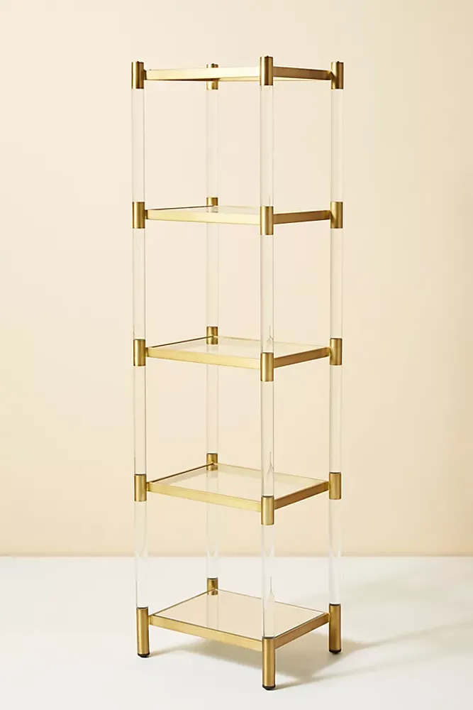 Oscarine Lucite Narrow Mirrored Bookshelf