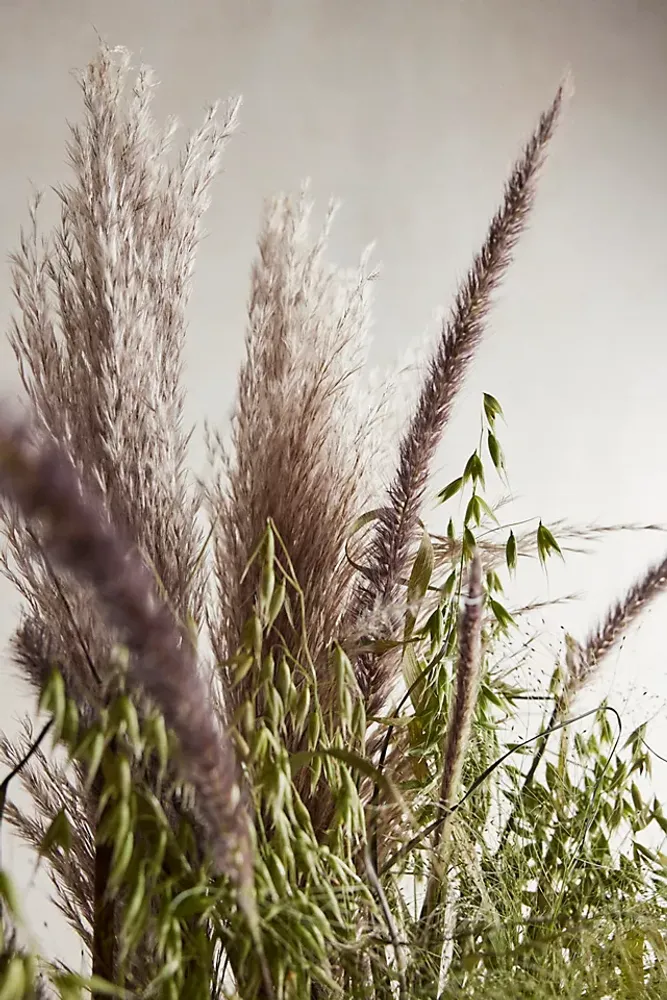 Fresh Grasses Bunch