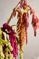 Amaranth Bouquet