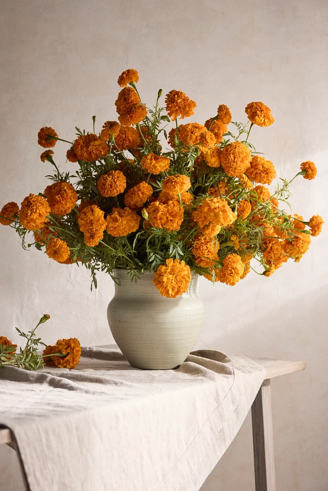 Marigold Bouquet