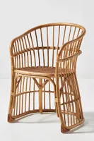 Positano Indoor/Outdoor Dining Chair