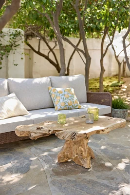 Teak Root Coffee Table