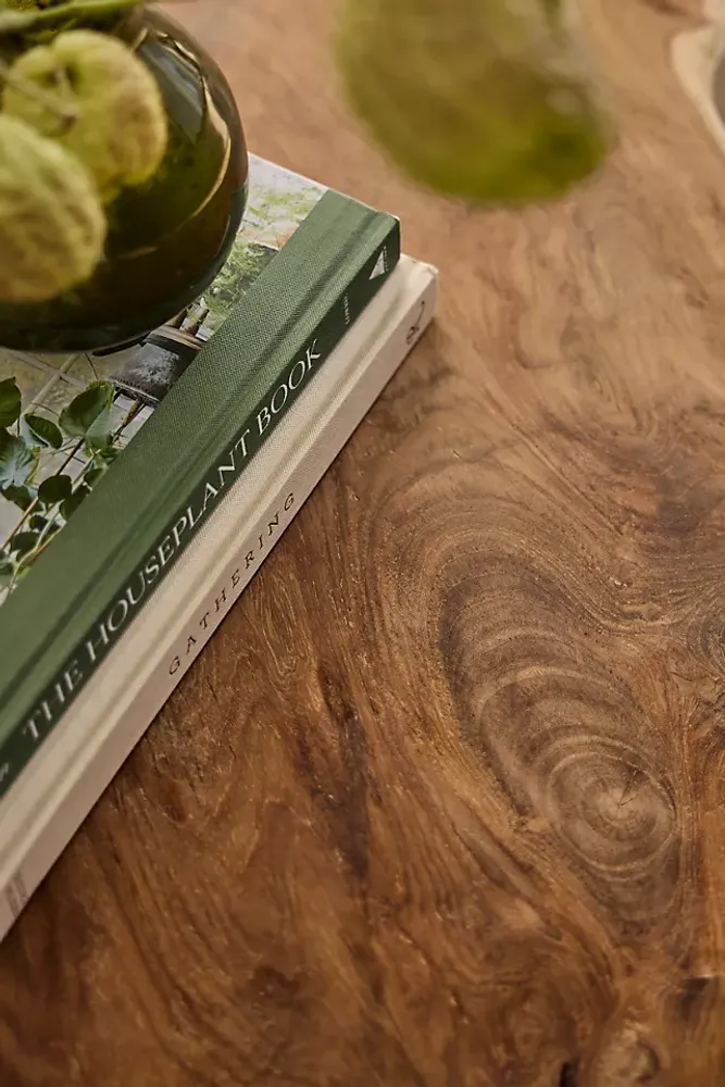 Teak Root Coffee Table