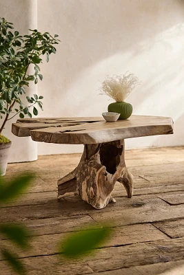 Teak Root Coffee Table