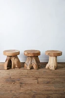 Teak Root Side Table