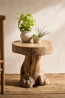 Teak Root Side Table