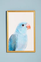 Blue Parrot Wall Art