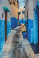 Blue Kasbah Wall Art