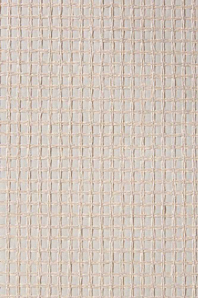 Wancahi Grasscloth Textured Wallpaper