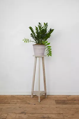Three Leg Plant Stand