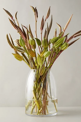 Fresh Cut Okra Pod Stems