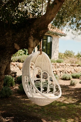 Peacock Indoor/Outdoor Hanging Chair