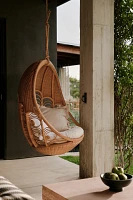 Peacock Indoor/Outdoor Hanging Chair