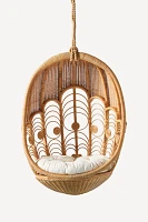 Peacock Indoor/Outdoor Hanging Chair