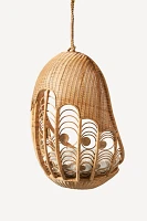 Peacock Indoor/Outdoor Hanging Chair