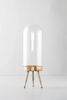 Distressed Metal + Glass Terrarium on Stand