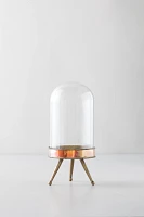 Distressed Metal + Glass Terrarium on Stand