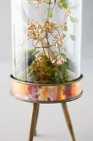 Distressed Metal + Glass Terrarium on Stand