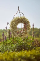 Meadow + Bloom Wreath