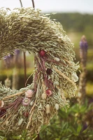 Meadow + Bloom Wreath