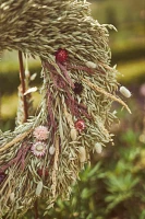 Meadow + Bloom Wreath