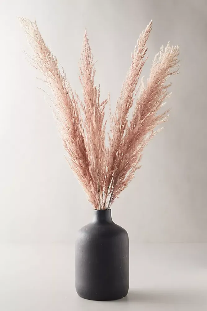 Dried Pampas Grass Bunch