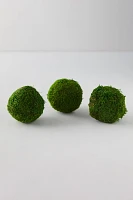 Natural Moss Balls, Set of 3