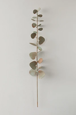 Iron Eucalyptus Stem