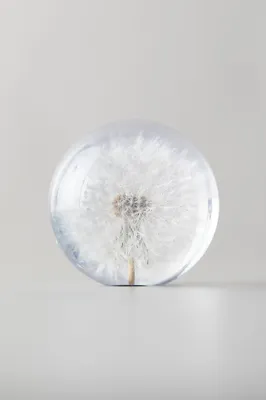 Resin Floral Paperweight