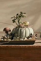 Ceramic Pumpkin Planter