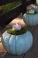 Ceramic Pumpkin Planter