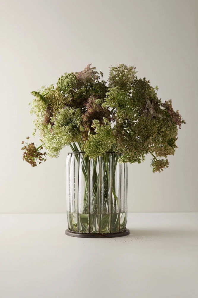 Fresh Chocolate Queen Anne Lace Bunch