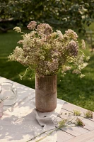 Fresh Chocolate Queen Anne Lace Bunch