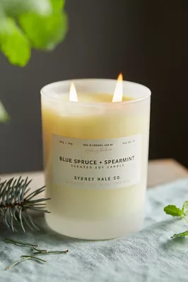 Sydney Hale Candle, Blue Spruce + Spearmint