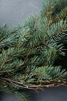 Fresh Fir + Pine Cone Garland