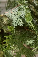 Fresh Juniper + Noble Fir Garland