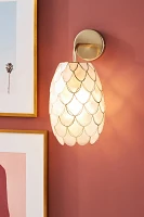 Phillipa Capiz Sconce