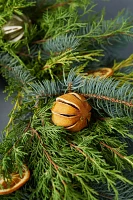 Fresh Evergreen + Dried Citrus Wreath