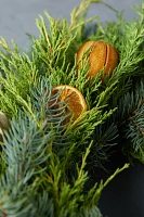 Fresh Evergreen + Dried Citrus Wreath