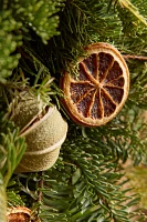 Fresh Evergreen + Dried Citrus Wreath