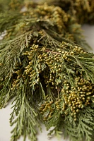 Fresh Incense Cedar Garland