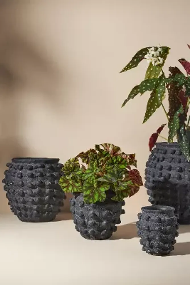 Minka Textured Pot