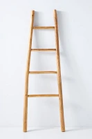 Travis Decorative Teak Blanket Ladder